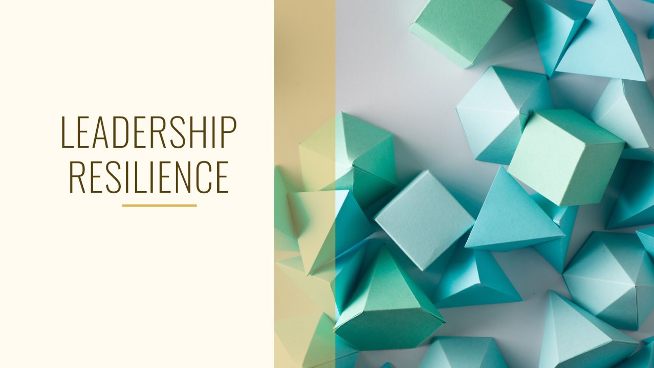Leadership Resilience in High-Tech Industries