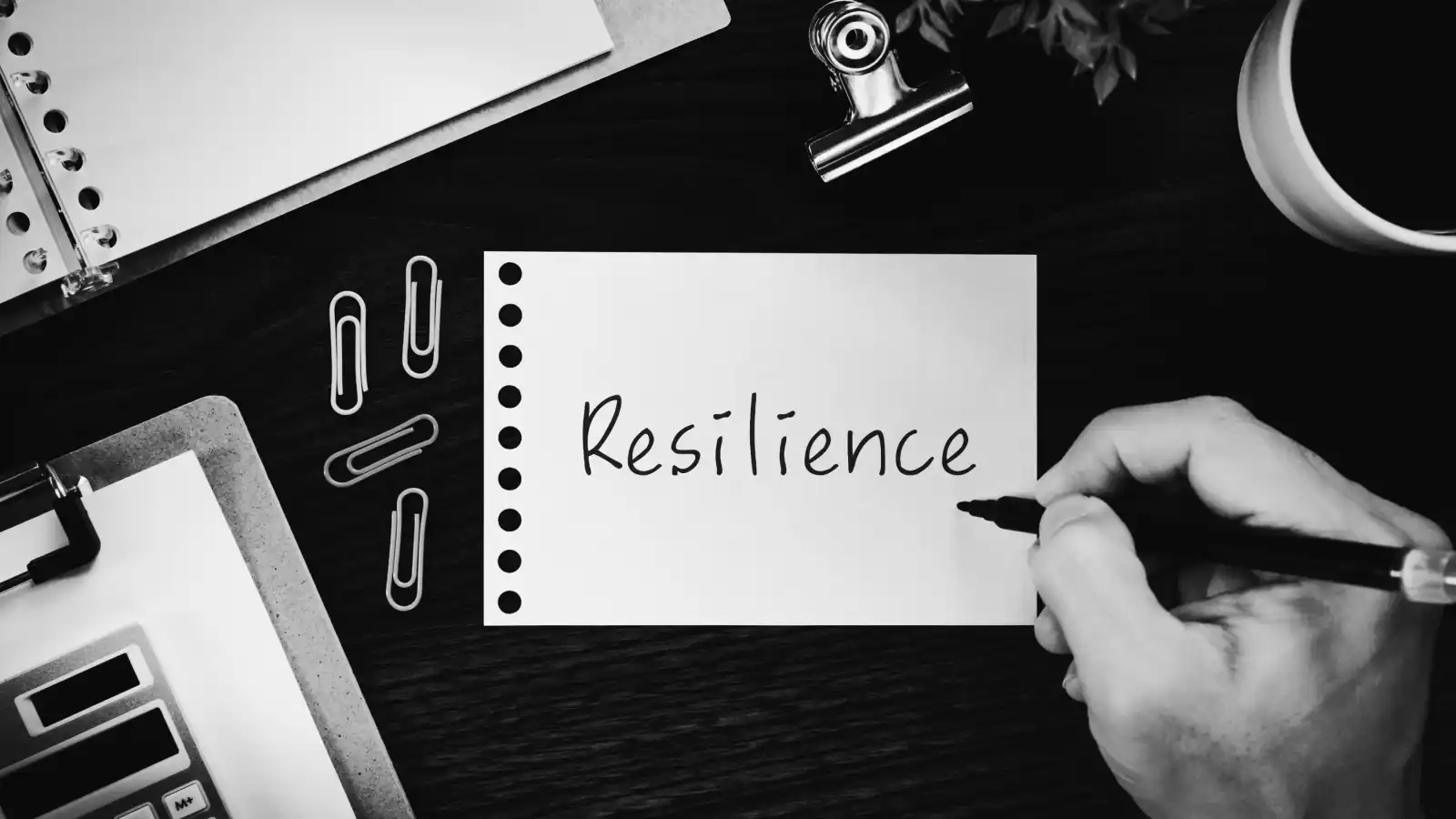 Leadership Resilience in High-Tech Industries Conceptual Visualization