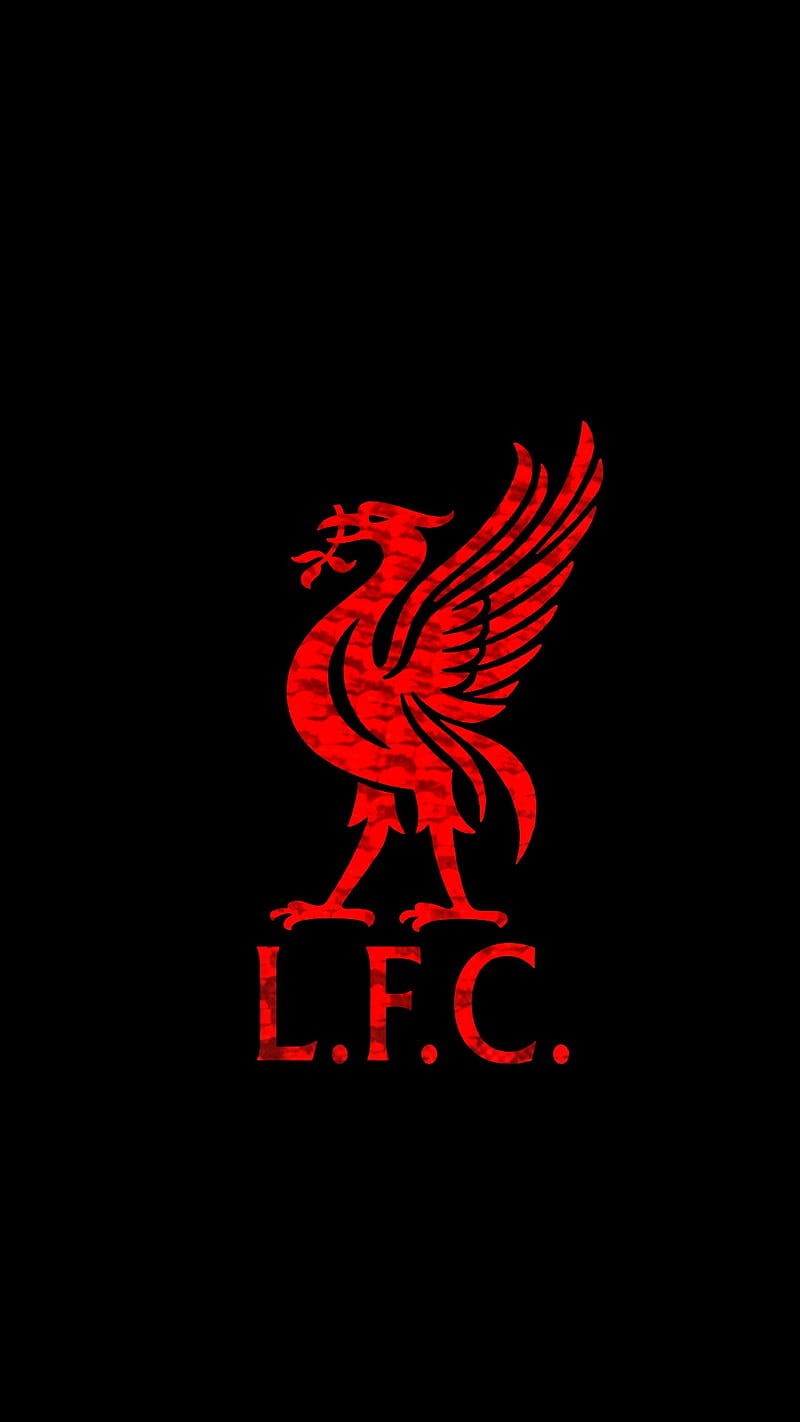 Expert Insights: Unlocking the Power of lfc