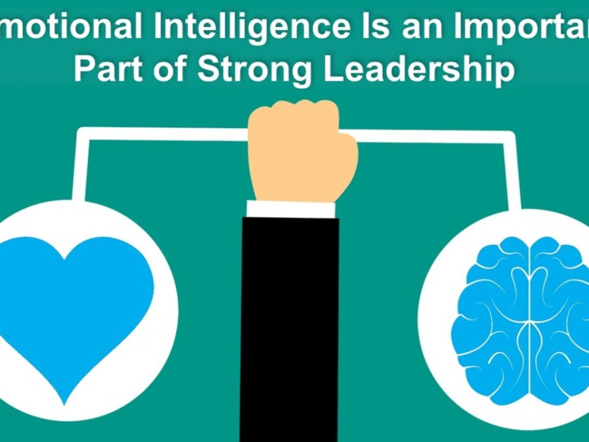 Leadership Emotional Regulation Techniques Conceptual Visualization