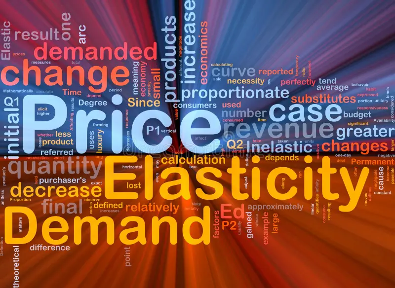 AI in Pricing Elasticity Analysis