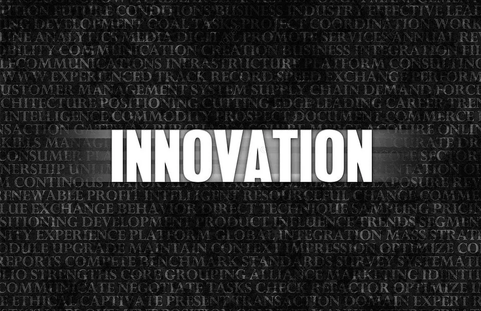 Innovation Strategy for Platform Businesses