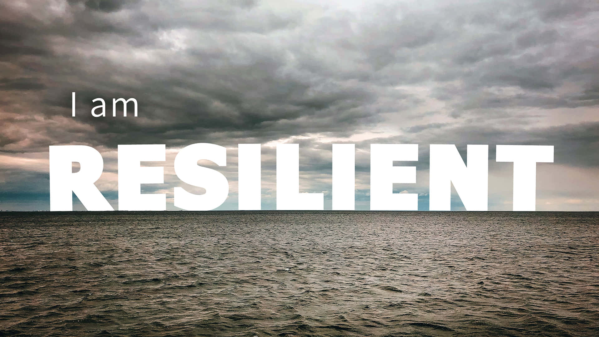 IT Resilience Planning Against Cyber Threats
