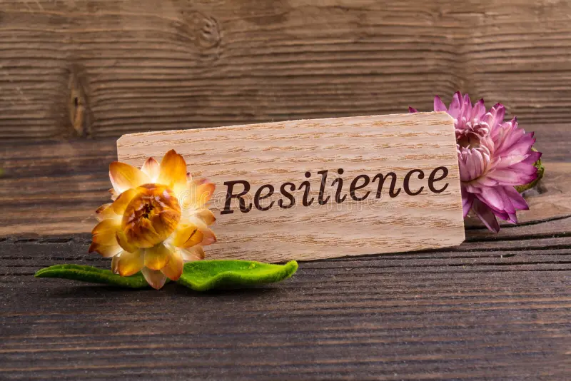 IT Resilience Planning Against Cyber Threats Conceptual Visualization
