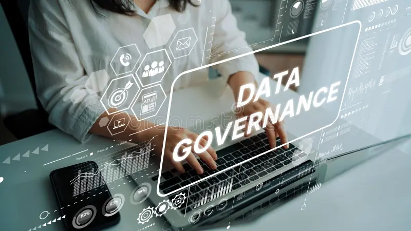 IT Data Governance in Healthcare Organizations
