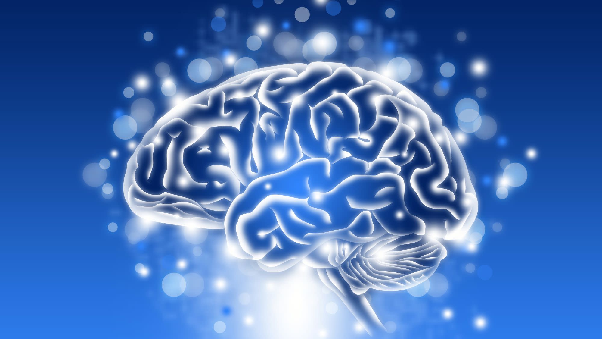Lifestyle Habits That Support Mental Sharpness Conceptual Visualization