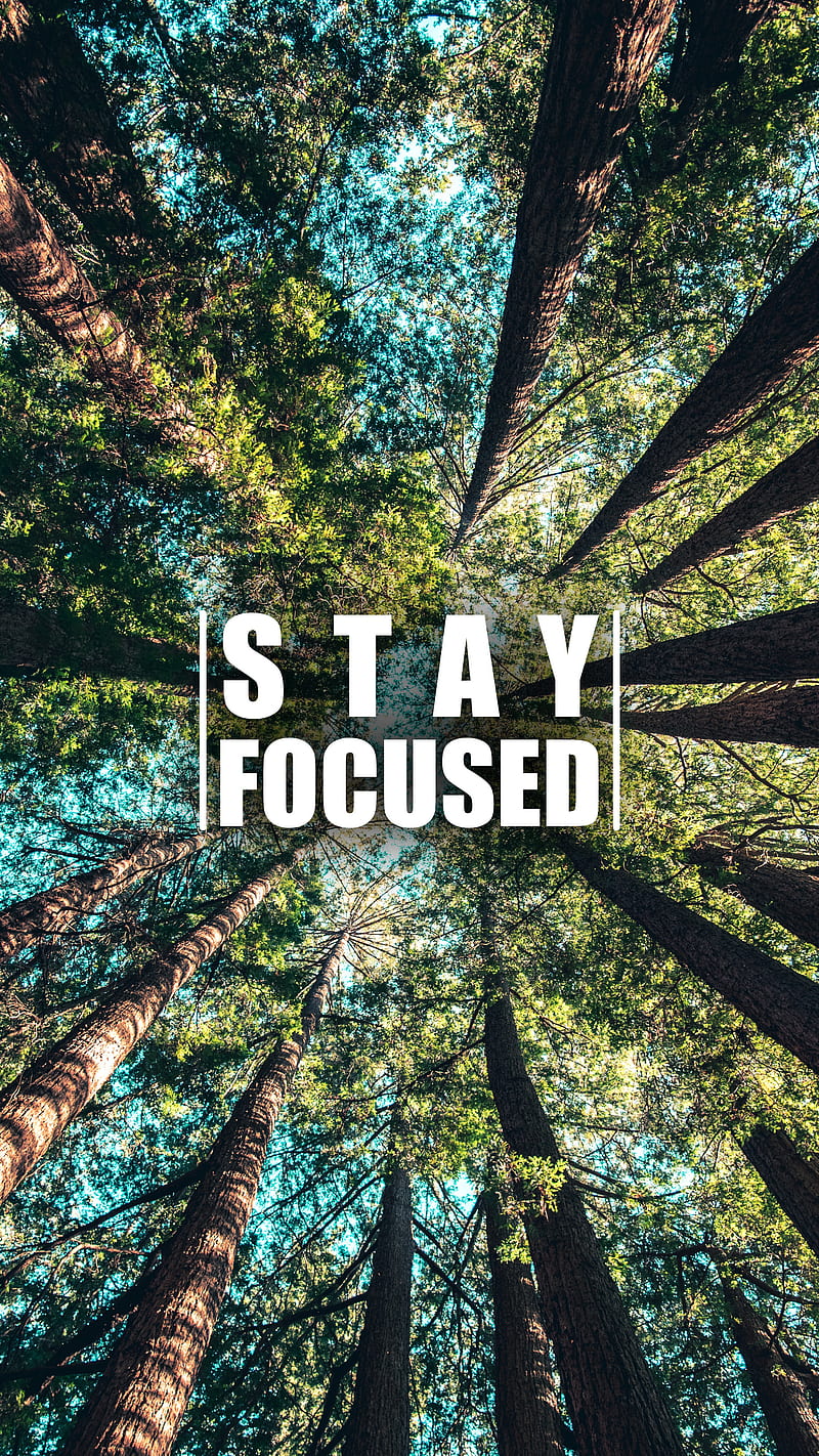 Productivity Habits That Strengthen Mental Focus