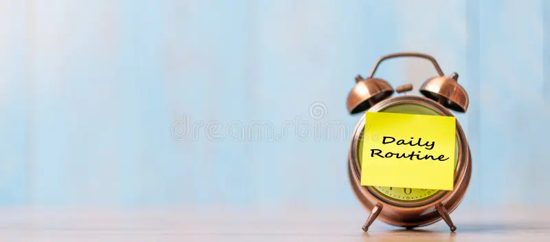 The Science of Building a Productive Daily Routine