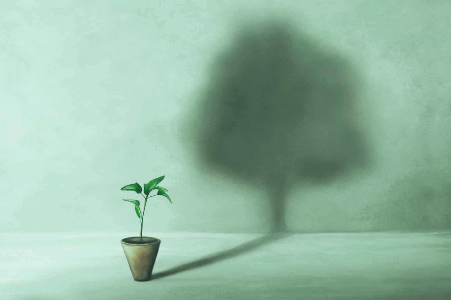How Mindful Living Improves Emotional <a href=