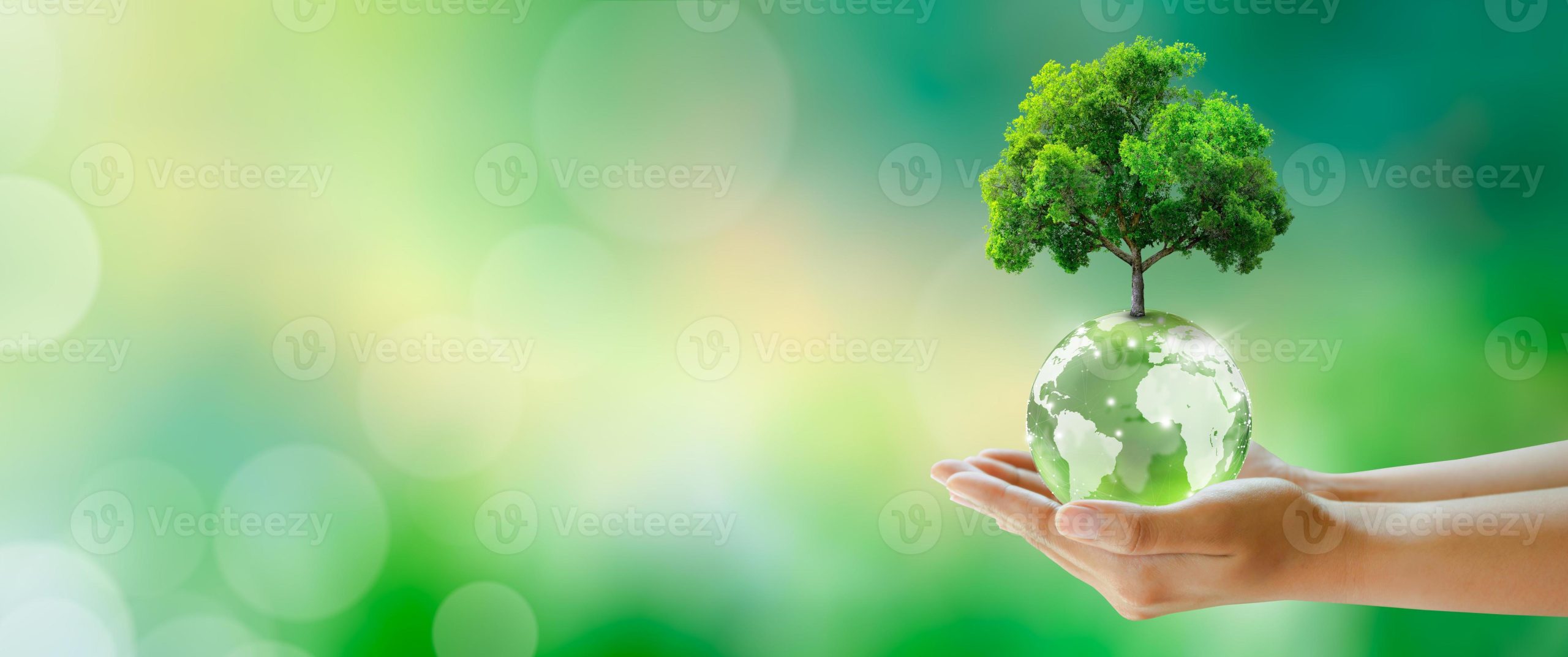 How Physical Environment Impacts Wellbeing Conceptual Visualization