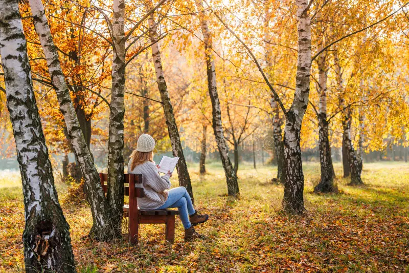 Lifestyle Habits That Support Mental Calmness