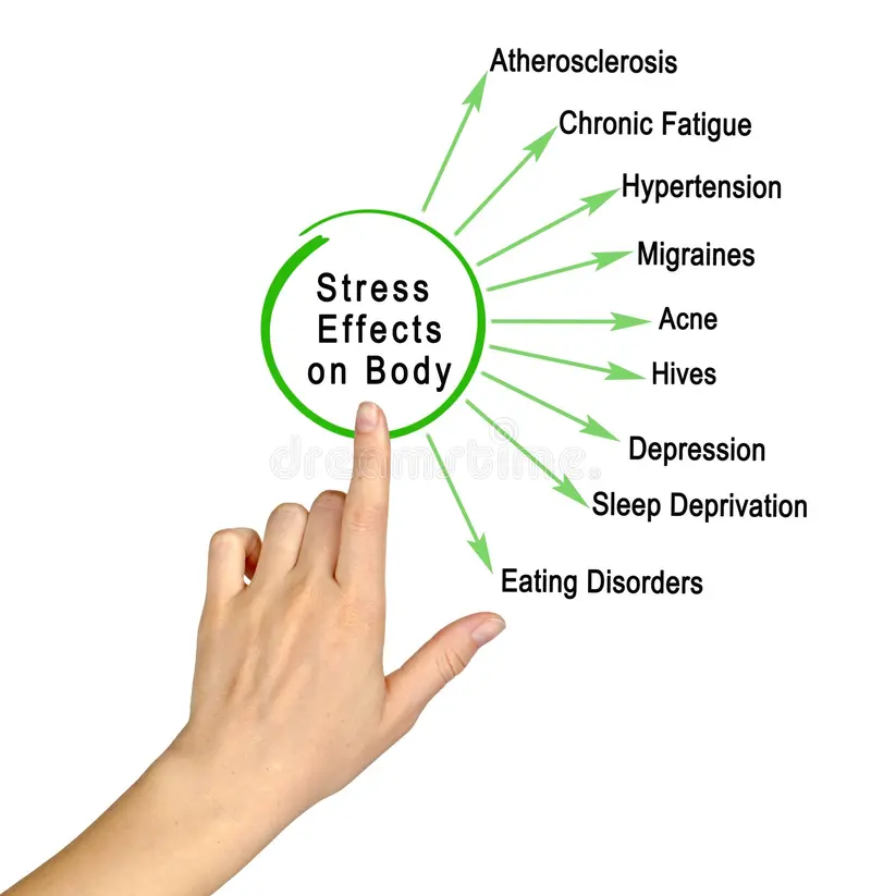 How Stress Impacts the Body and Mind