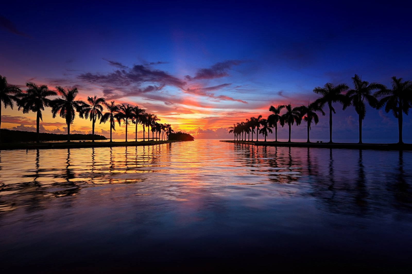 florida weather Conceptual Visualization