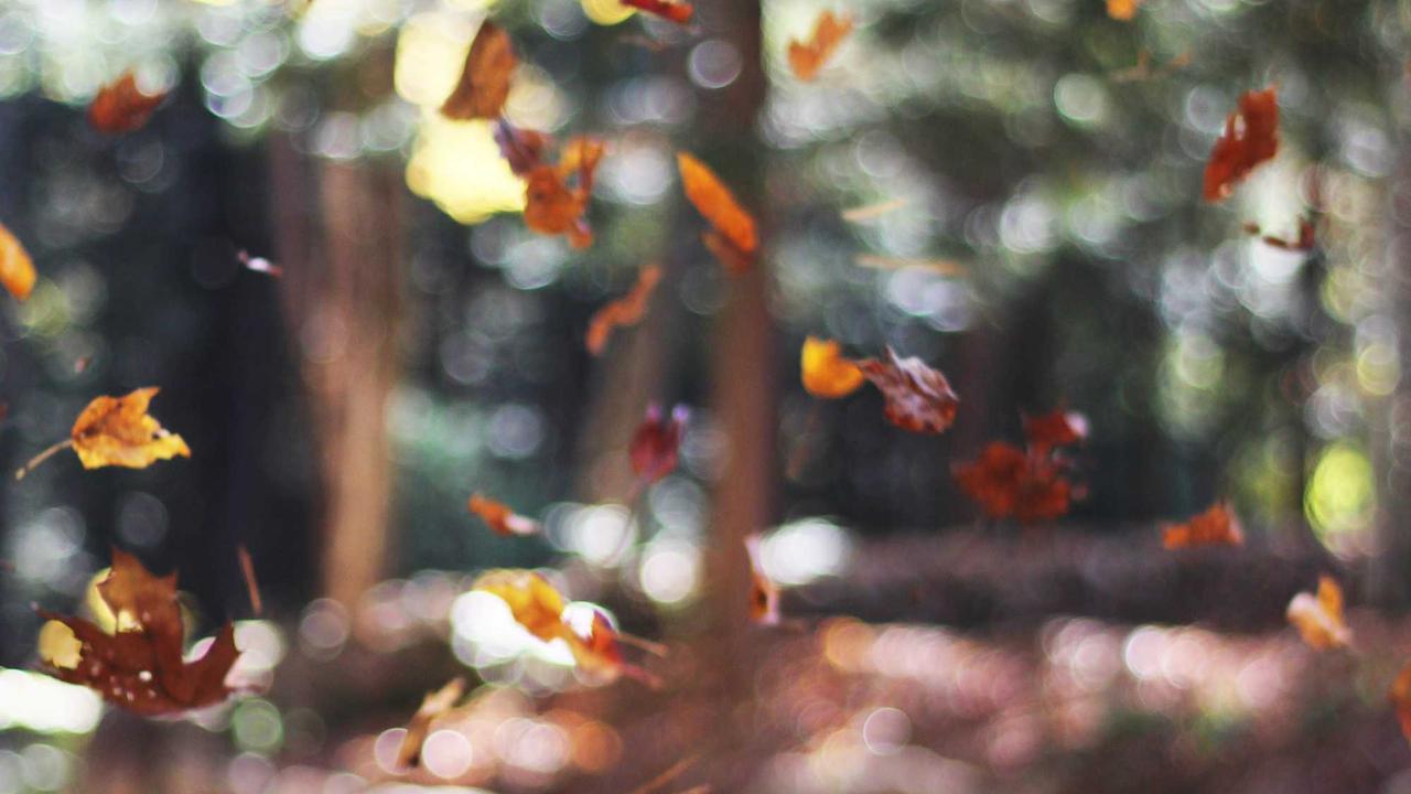 How Artificial Intelligence is Changing Everyday Life Conceptual Visualization