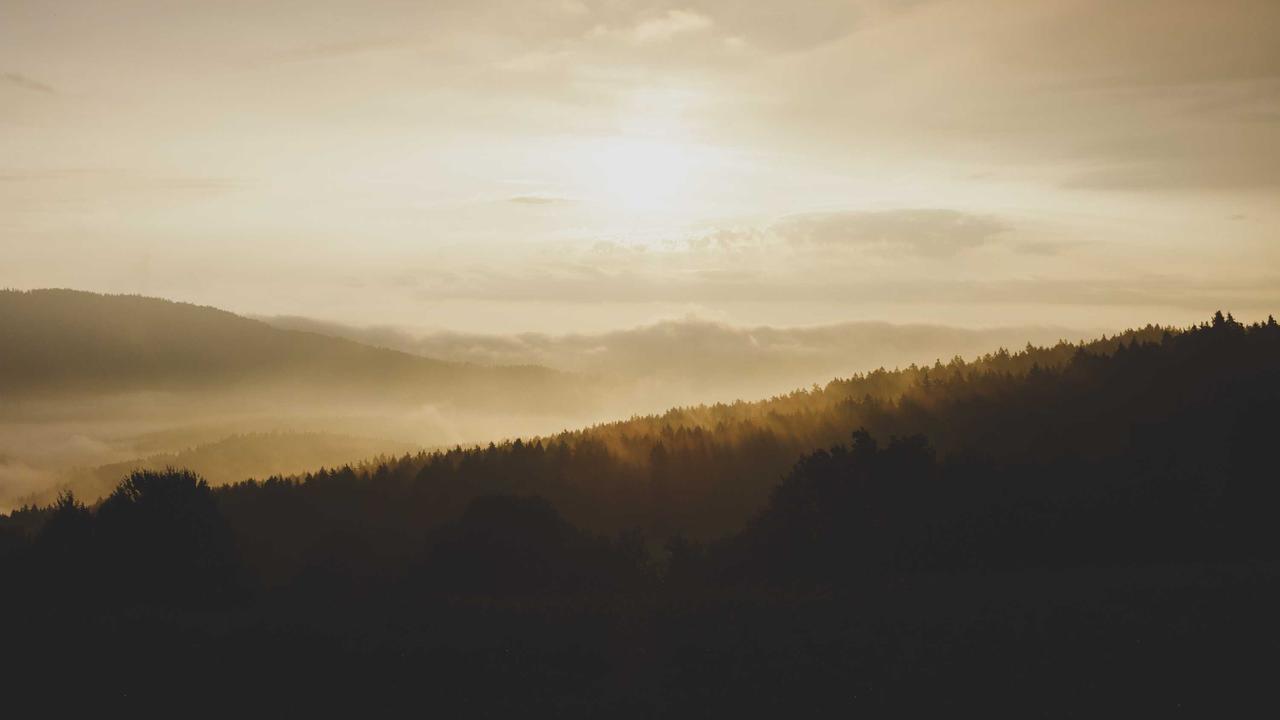 Why How Technology is Transforming Small Businesses is Critical for Modern Enterprises