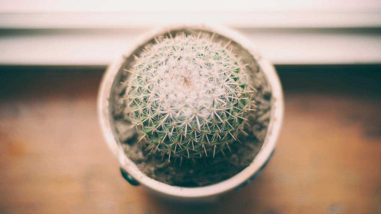 How Technology is Transforming Small Businesses Conceptual Visualization